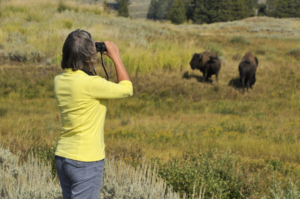 Watching wildlife