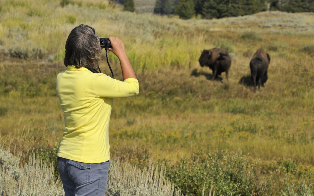 The Best Time of Year to Visit Yellowstone: Your Season-by-Season Guide