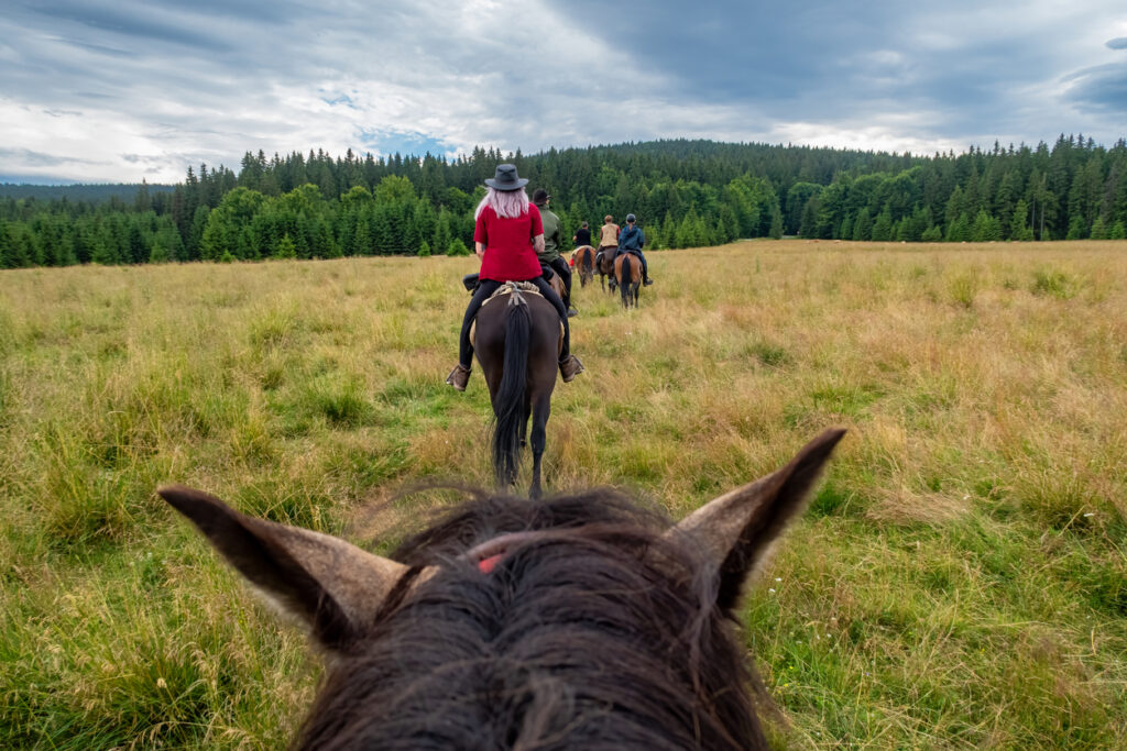 Horseback riding in the carpathian landscape