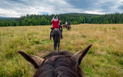 What to Wear Horseback Trail Riding