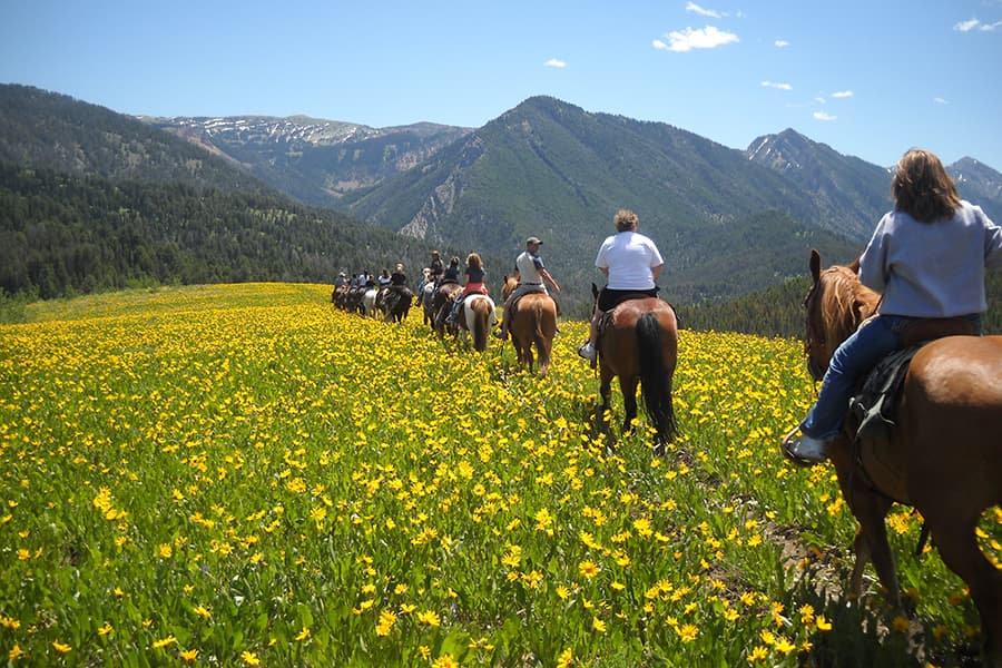 Horseback riders on a trail near Yellowstone
