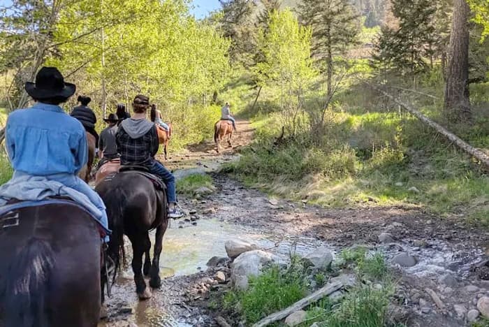 Horseback riding near Yellowstone