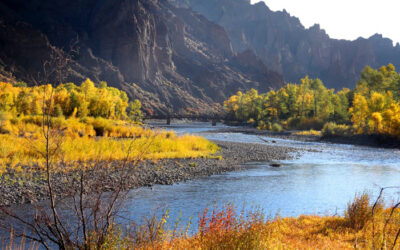 When to Visit Yellowstone for Your Favorite Activity
