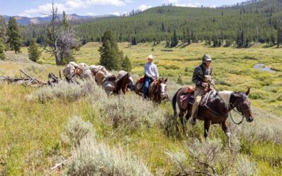 Can You Go Horseback Riding in Yellowstone?
