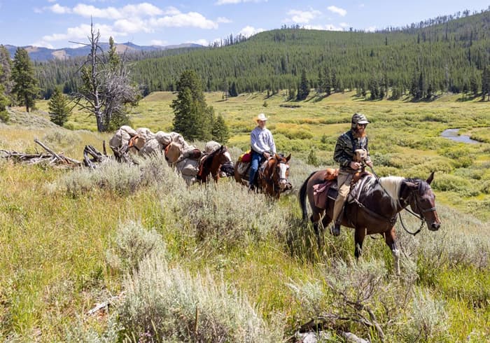 Can You Go Horseback Riding in Yellowstone?