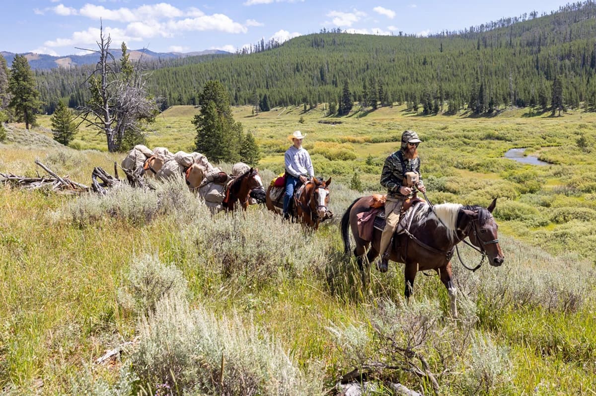 Two men riding horses in Yellowstone National Park.