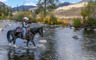 How Much Does Horseback Riding Cost in Yellowstone?